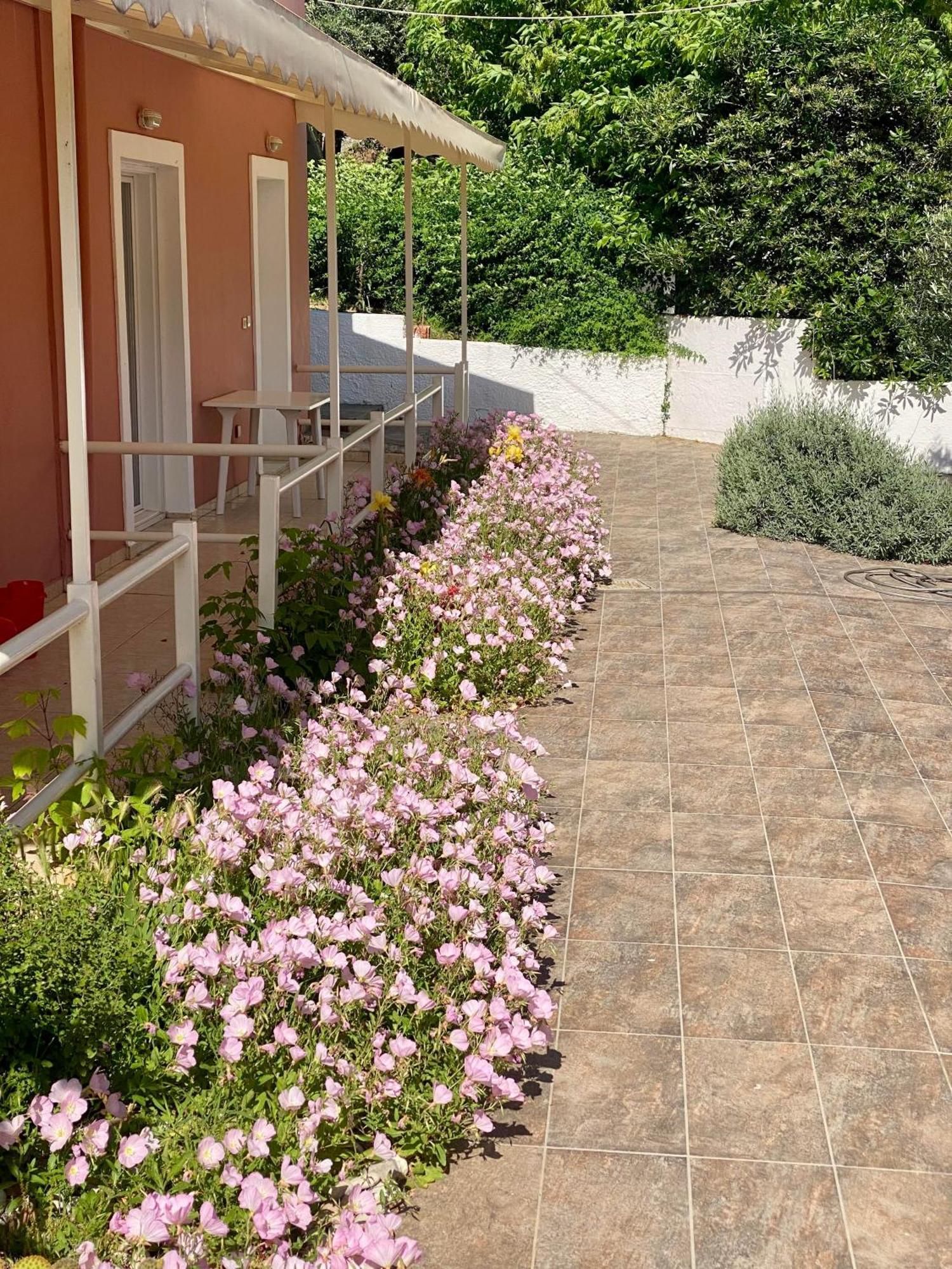 Paradiso Hotel Sea View And Pool Suites Ipsos Corfu Ngoại thất bức ảnh