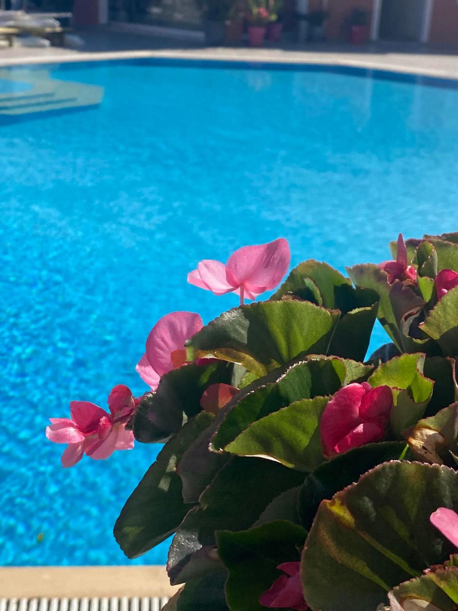 Paradiso Hotel Sea View And Pool Suites Ipsos Corfu Ngoại thất bức ảnh